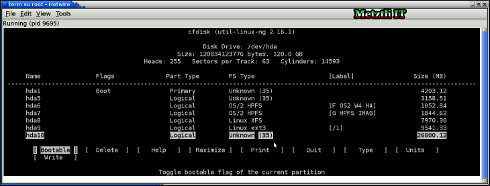 Using Debian cfdisk utility as root user.