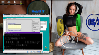 VGA from GRADD077 works in OS/2 v2.11