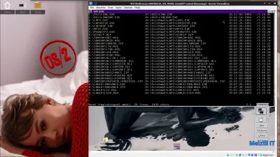 File with file list formatted for OS/2 PACK2 utility