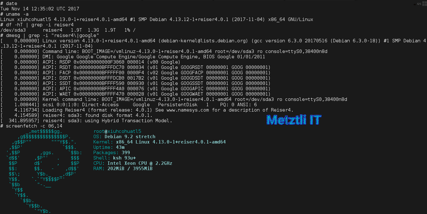 Metztli Reiser4 (SFRN 4.0.1) ~2TB Debian Stretch Image Boot Log During Google Compute Engine (GCE) Cloud Instantiation.