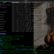 PHP 8.0 with XMLRPC hack for Metztli Reiser4 / Debian Bullseye Backports AMD64