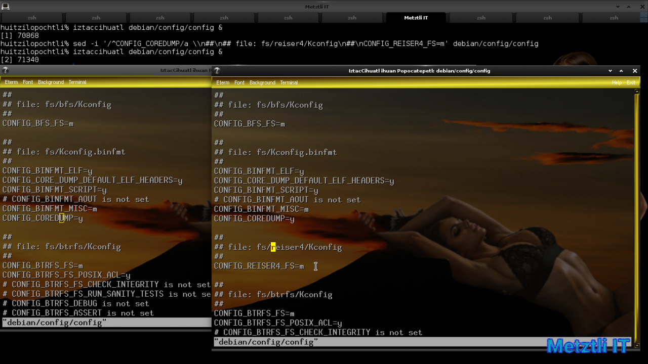 Exposing Hacks for ZSTD -compressed Metztli Reiser4 / Debian Buster bps Linux 5.5.caxtolli∙omome and initramfs