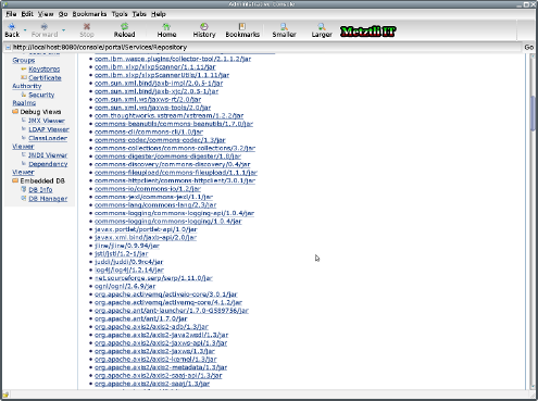 WebSphere Application Server CE Repository Entries View.