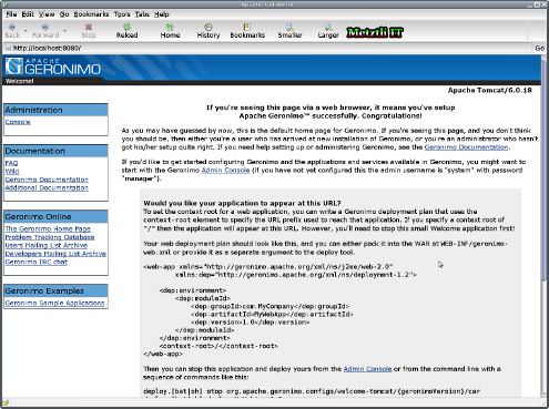Apache Geronimo Java Application Server: default web page.
