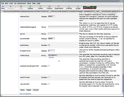 WASCE / Geronimo: providing ISO-8859-1 or UTF-8 uriEncoding support.