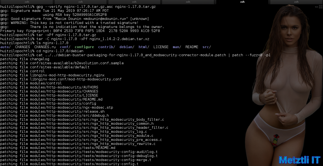 Build PHP 7.3.5̶ 6 for Nginx 1.17.0 on Metztli Reiser4 'the Debian Way' for Stretch Backports on AMD64.