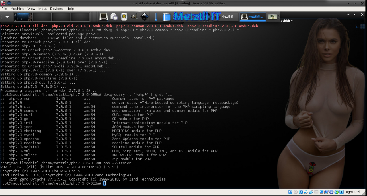Build PHP 7.3.5̶ 6 for Nginx 1.17.0 on Metztli Reiser4 'the Debian Way' for Stretch Backports on AMD64.