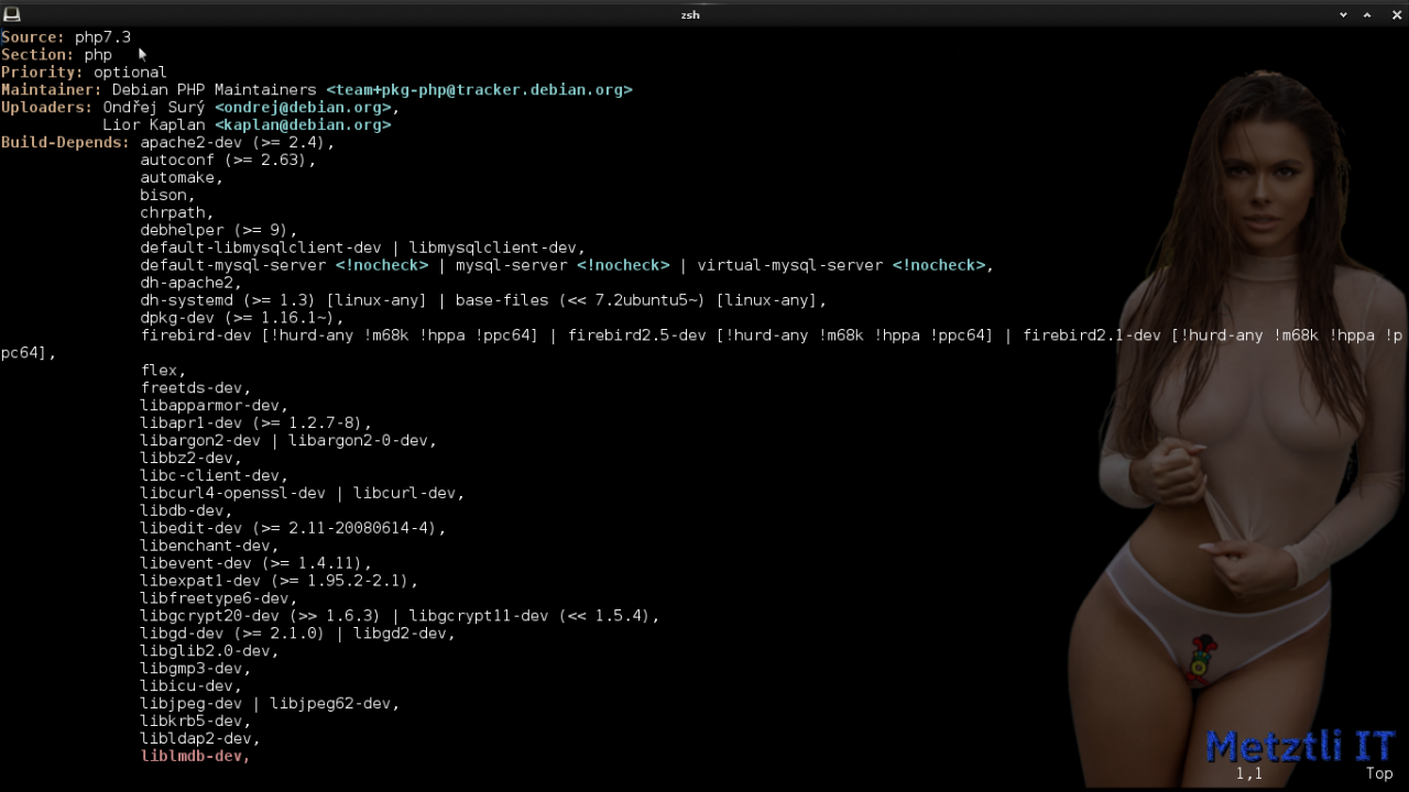 Build PHP 7.3.5̶ 6 for Nginx 1.17.0 on Metztli Reiser4 'the Debian Way' for Stretch Backports on AMD64.