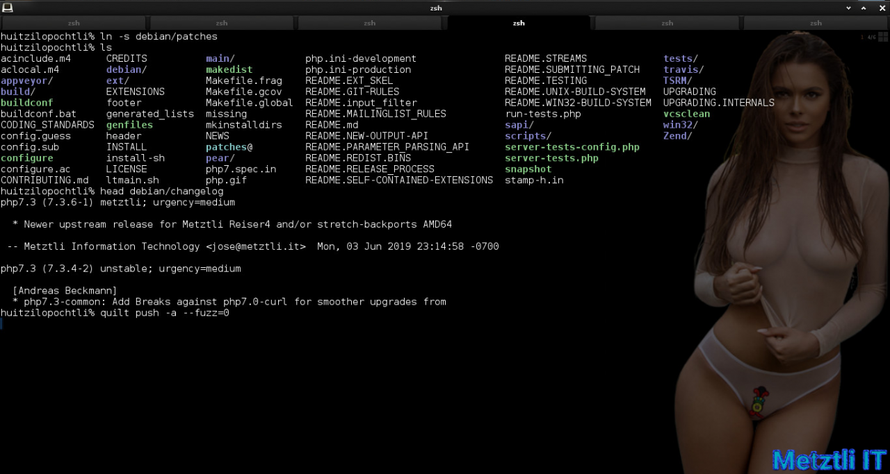 Build PHP 7.3.5̶ 6 for Nginx 1.17.0 on Metztli Reiser4 'the Debian Way' for Stretch Backports on AMD64.