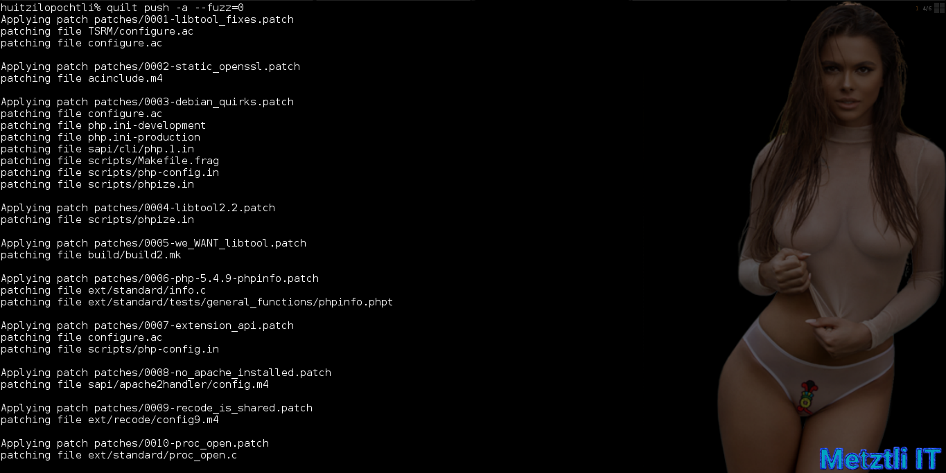 Build PHP 7.3.5̶ 6 for Nginx 1.17.0 on Metztli Reiser4 'the Debian Way' for Stretch Backports on AMD64.