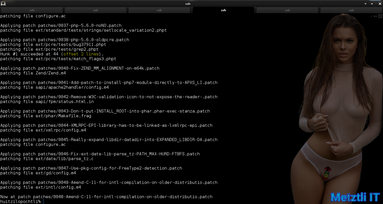 Build PHP 7.3.5̶ 6 for Nginx 1.17.0 on Metztli Reiser4 'the Debian Way' for Stretch Backports on AMD64.
