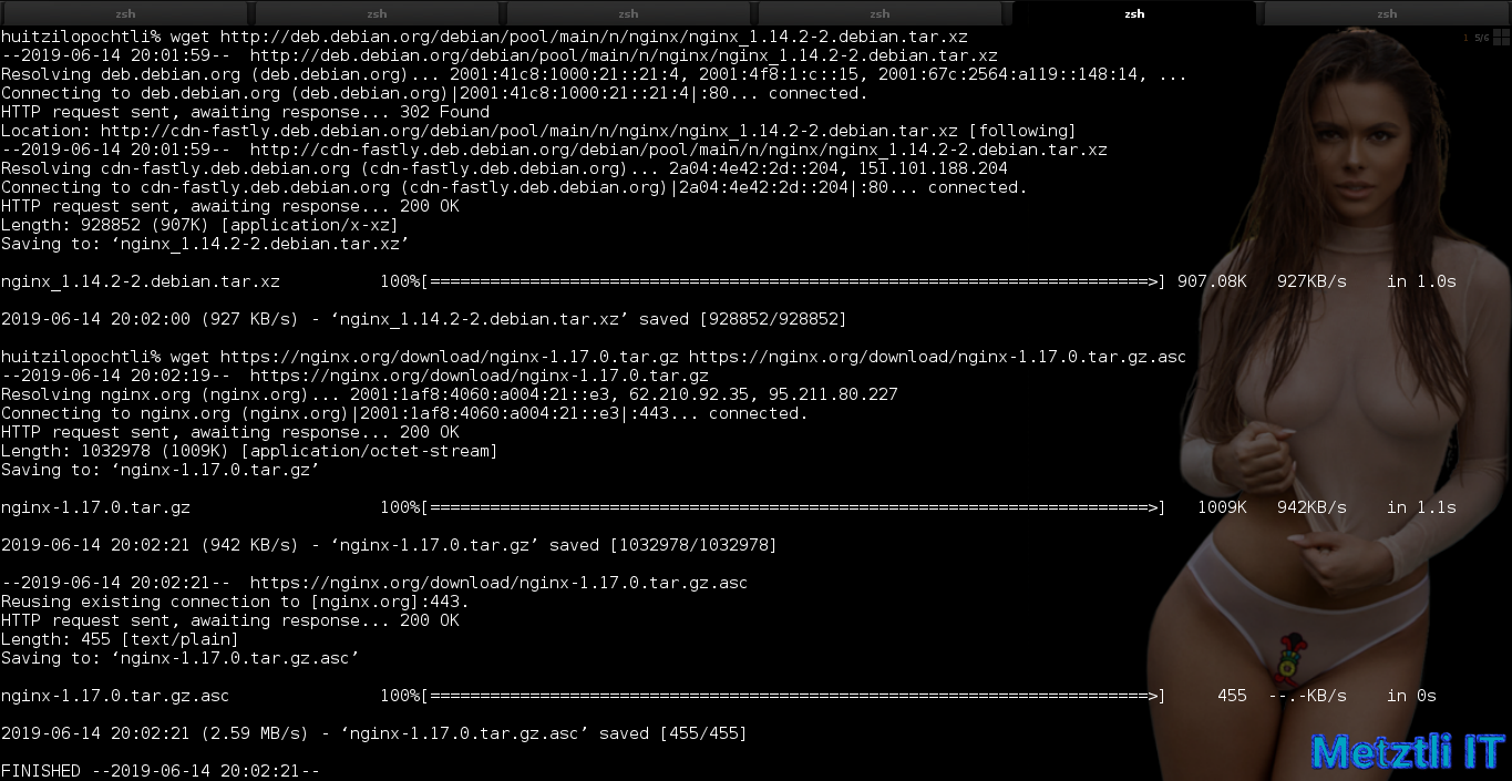 Build PHP 7.3.5̶ 6 for Nginx 1.17.0 on Metztli Reiser4 'the Debian Way' for Stretch Backports on AMD64.