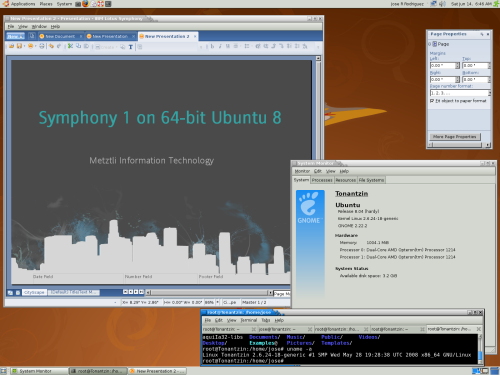 IBM Symphony 1 installed into 64-bit Ubuntu 8.04 