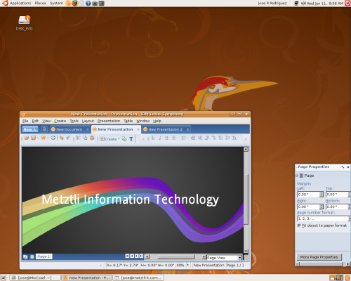 Metztli Information Technology downloaded template for Presentation.