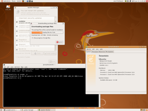 64-bit Ubuntu 8.04 fresh install & update: System
