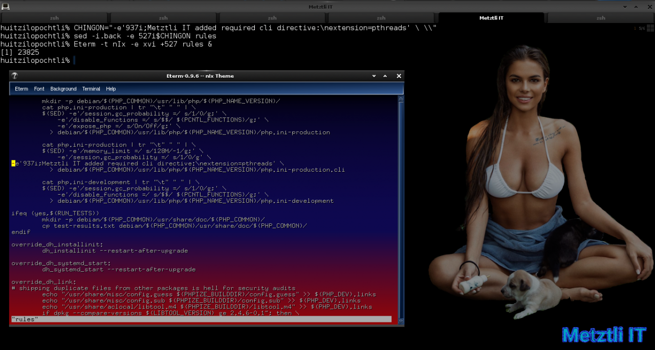 Build PHP 7.3.9̶ 10 ZTS and puppies...er, pthreads, on Metztli Reiser4: Как же мало нужно для счастья.