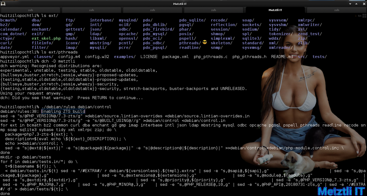Build PHP 7.3.9̶ 10 ZTS and puppies...er, pthreads, on Metztli Reiser4: Как же мало нужно для счастья.