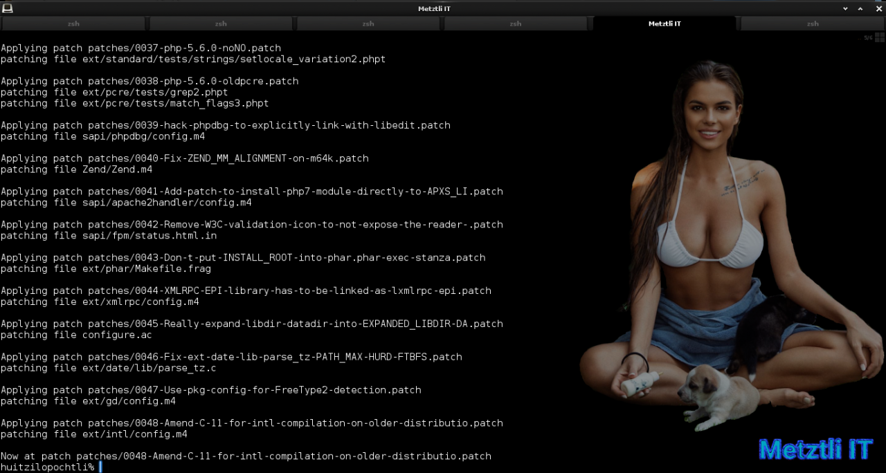 Build PHP 7.3.9̶ 10 ZTS and puppies...er, pthreads, on Metztli Reiser4: Как же мало нужно для счастья.