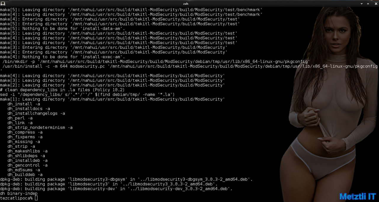 Nginx at Metztli IT: ModSecurity v3 module, Engine X v1.15.9, and libmodsecurity3 Connector, Integrated Hack.