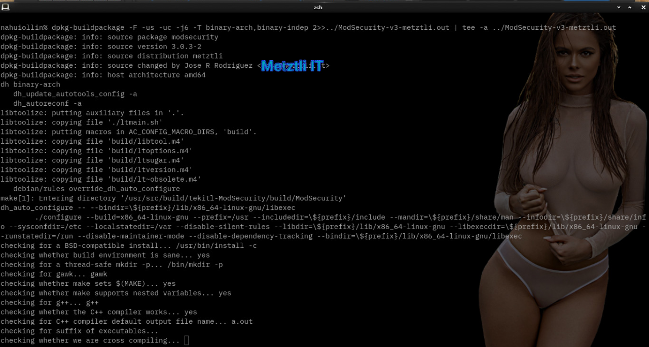 Nginx at Metztli IT: ModSecurity v3 module, Engine X v1.15.9, and libmodsecurity3 Connector, Integrated Hack.