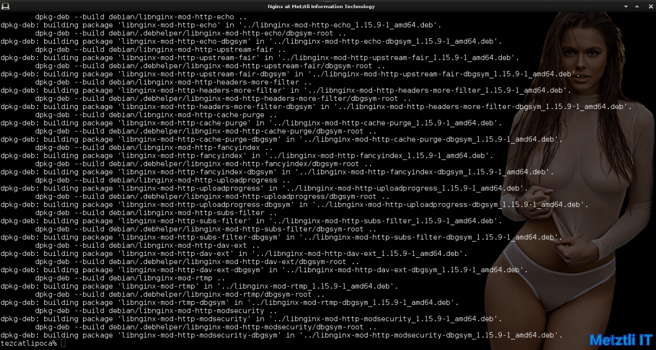 Nginx at Metztli IT: ModSecurity v3 module, Engine X v1.15.9, and libmodsecurity3 Connector, Integrated Hack.