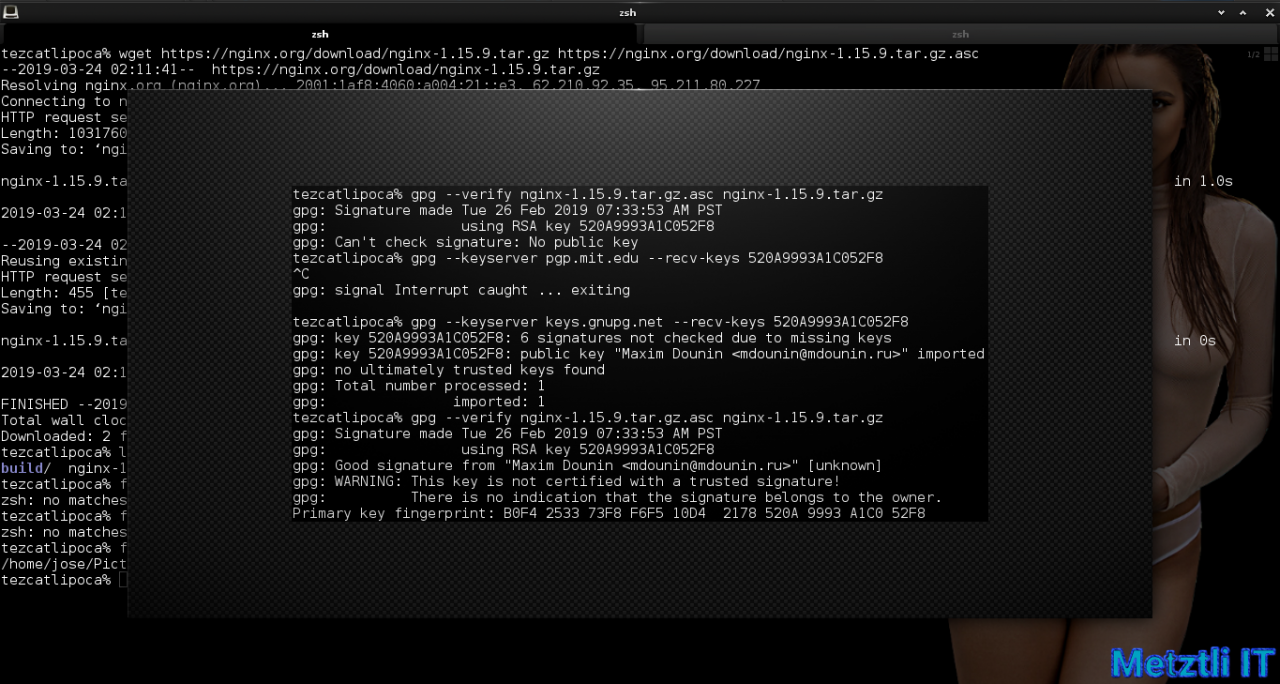 Nginx at Metztli IT: ModSecurity v3 module, Engine X v1.15.9, and libmodsecurity3 Connector, Integrated Hack.