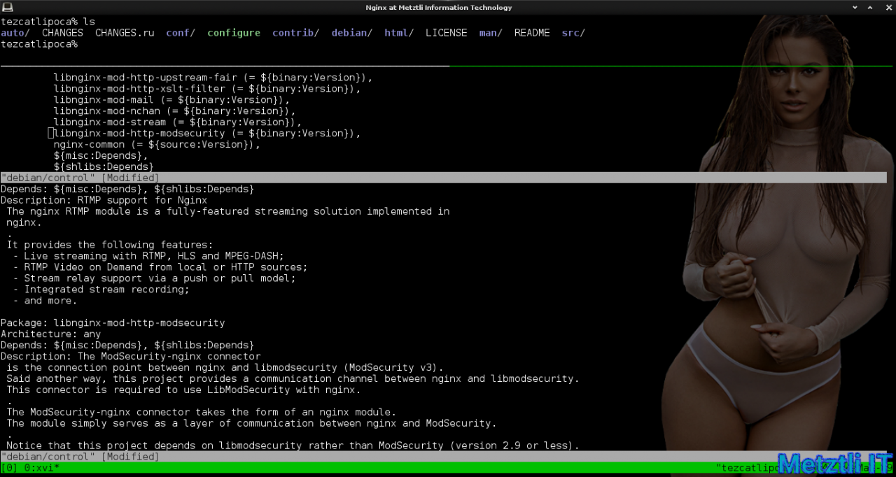 Nginx at Metztli IT: ModSecurity v3 module, Engine X v1.15.9, and libmodsecurity3 Connector, Integrated Hack.