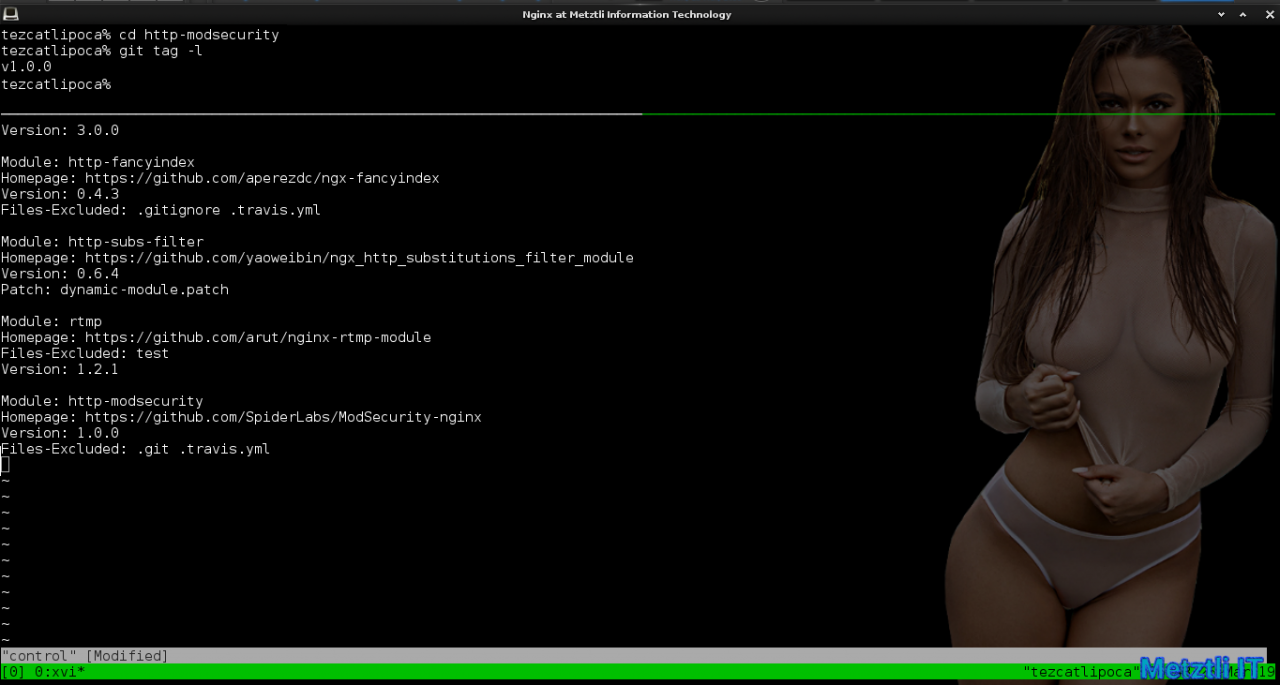 Nginx at Metztli IT: ModSecurity v3 module, Engine X v1.15.9, and libmodsecurity3 Connector, Integrated Hack.