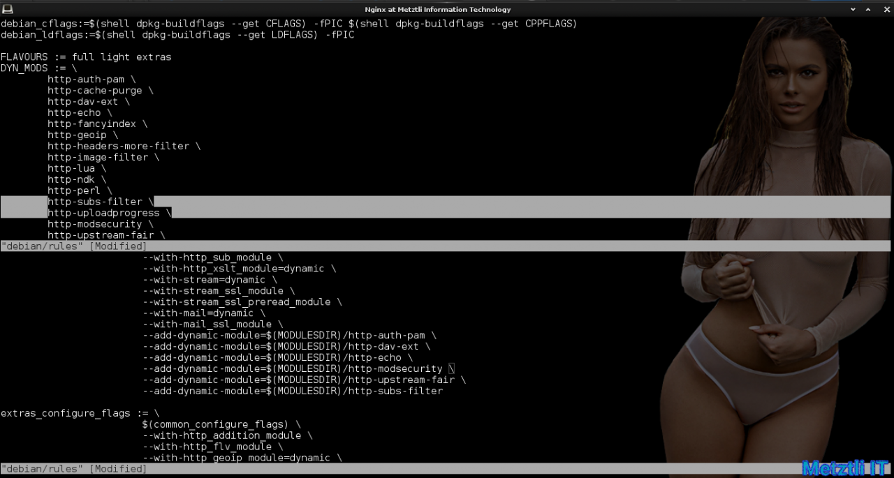 Nginx at Metztli IT: ModSecurity v3 module, Engine X v1.15.9, and libmodsecurity3 Connector, Integrated Hack.