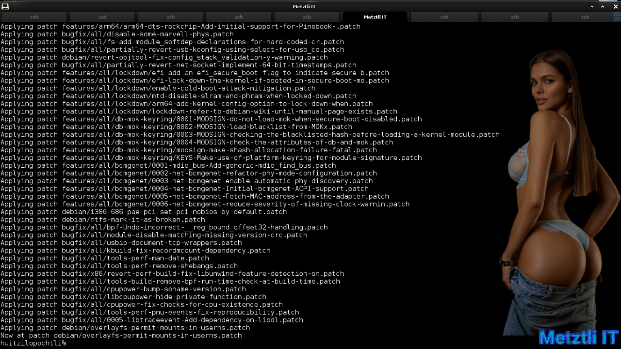 Exposing Hacks for ZSTD -compressed Metztli Reiser4 / Debian Buster bps Linux 5.5.caxtolli∙omome and initramfs