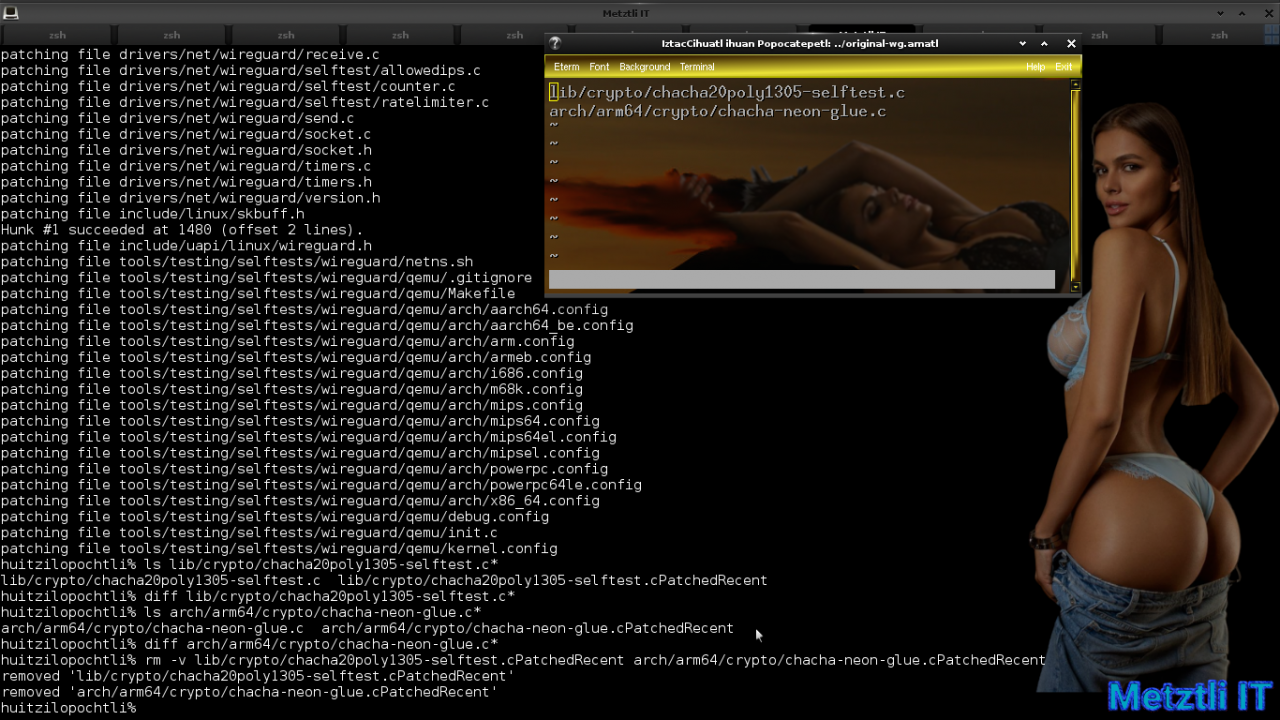 Exposing Hacks for ZSTD -compressed Metztli Reiser4 / Debian Buster bps Linux 5.5.caxtolli∙omome and initramfs