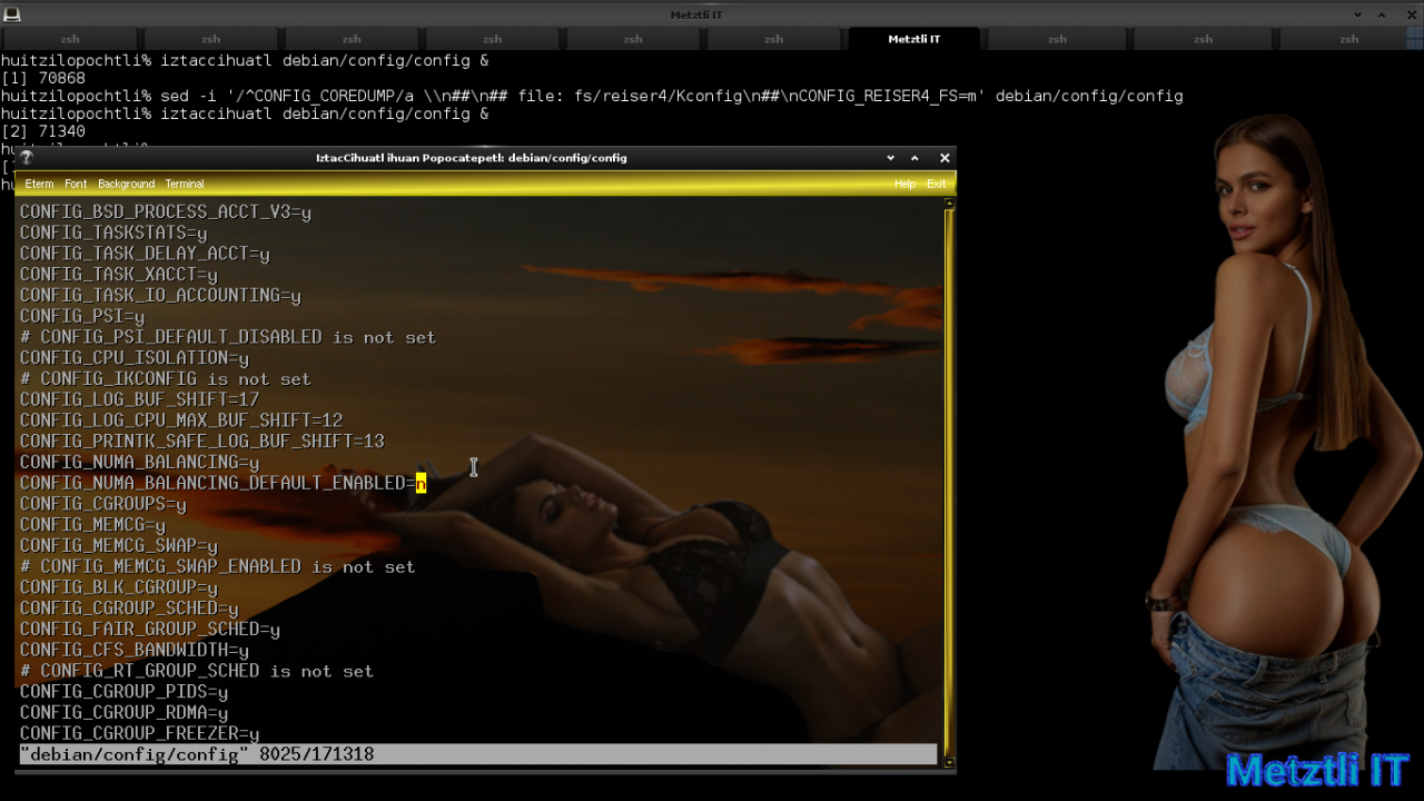 Exposing Hacks for ZSTD -compressed Metztli Reiser4 / Debian Buster bps Linux 5.5.caxtolli∙omome and initramfs