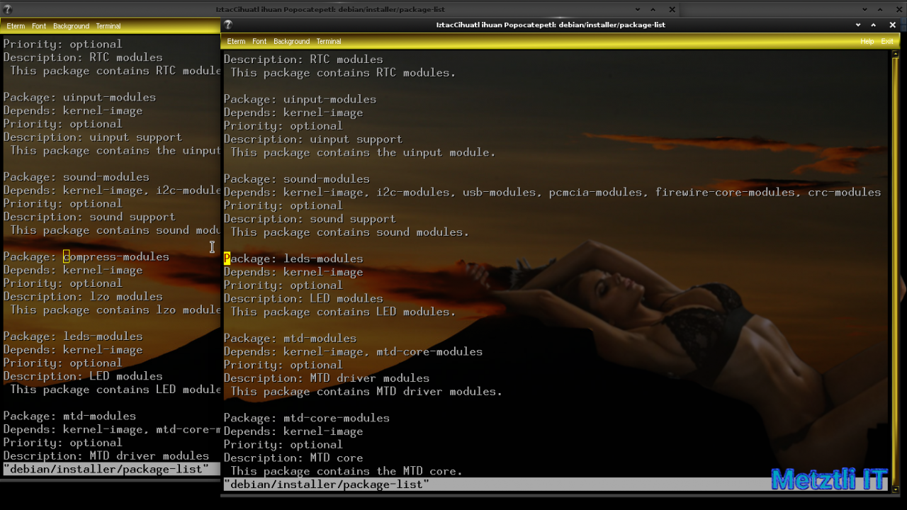 Exposing Hacks for ZSTD -compressed Metztli Reiser4 / Debian Buster bps Linux 5.5.caxtolli∙omome and initramfs