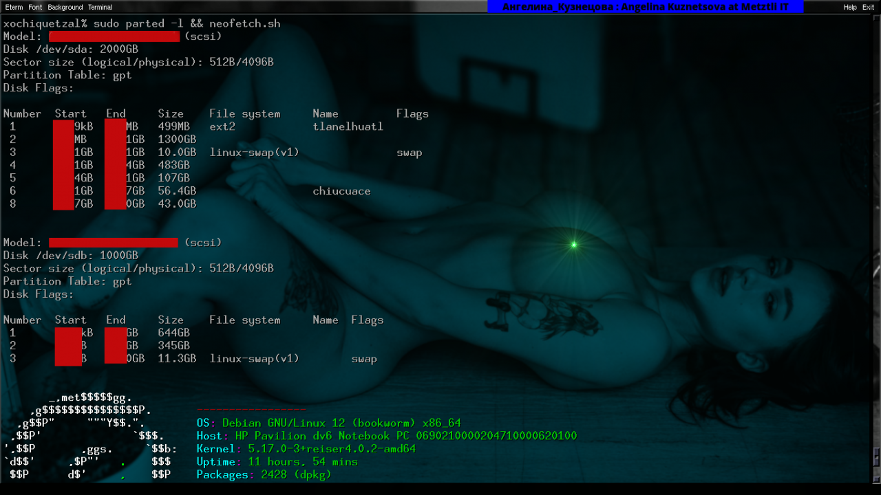 Debian GNU Parted without Reiser4 support