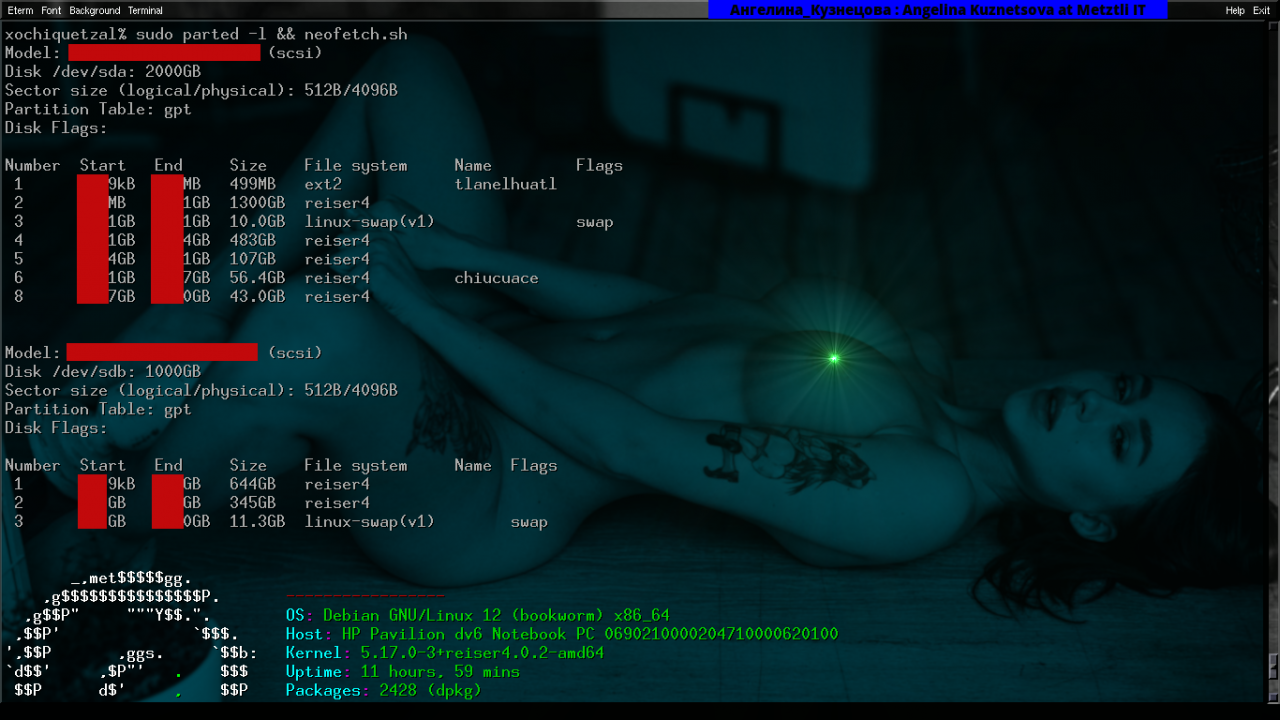 reiser4 -enhanced Debian GNU Parted