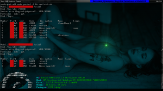 reiser4 -enhanced Debian GNU Parted