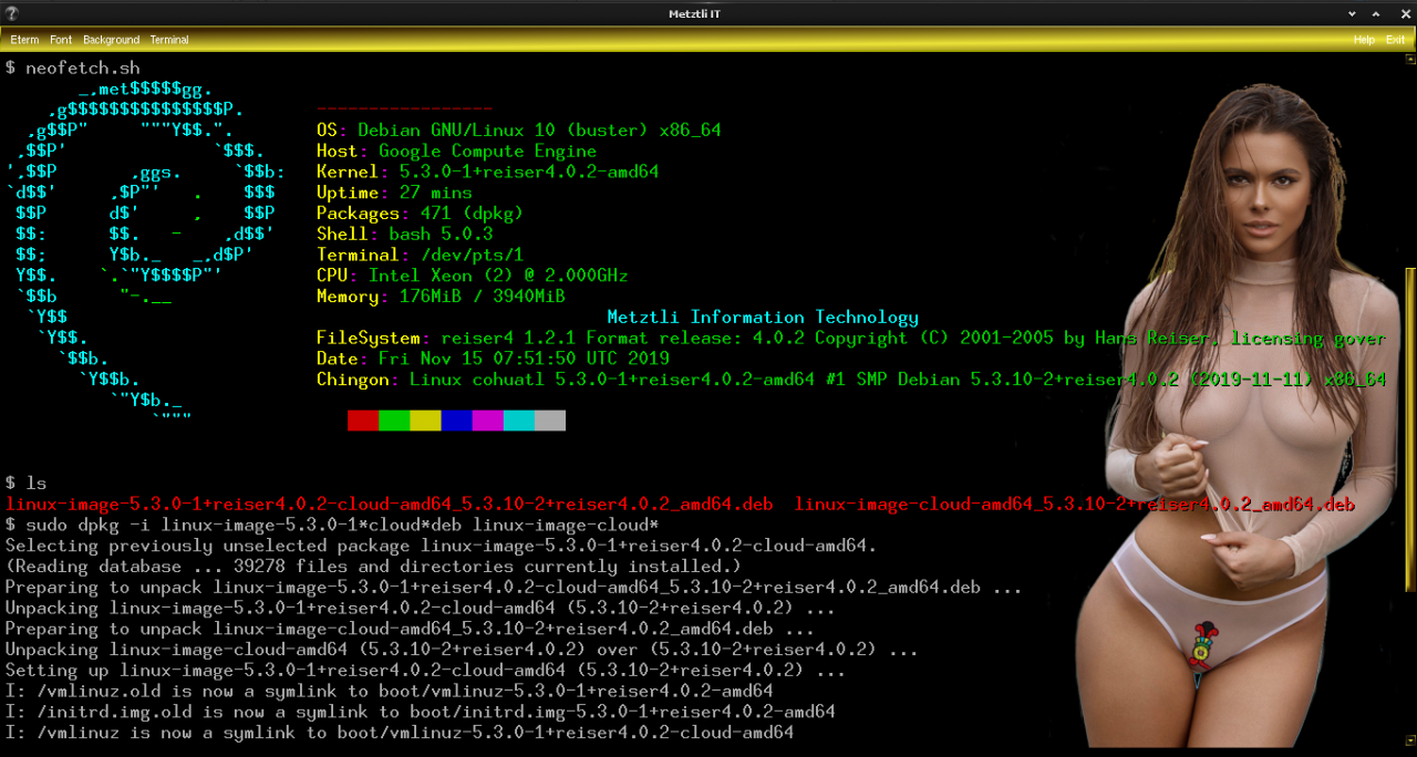 Metztli Reiser4 Linux Cloud Kernel 5.3.10-2 on Google Compute Engine (GCE).