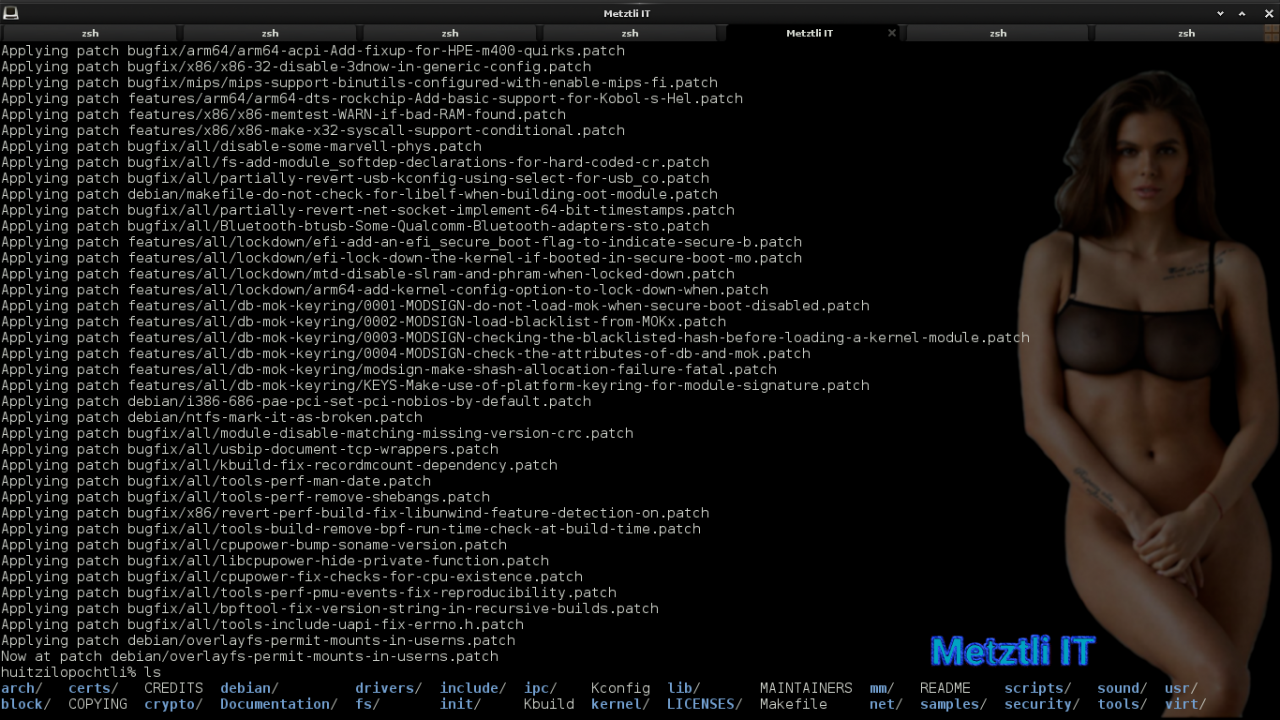 Debianizing the Linux source code under Debian packaging environment