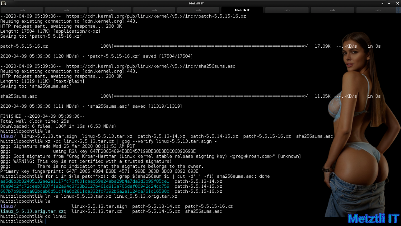 Exposing Hacks for ZSTD -compressed Metztli Reiser4 / Debian Buster bps Linux 5.5.caxtolli∙omome and initramfs