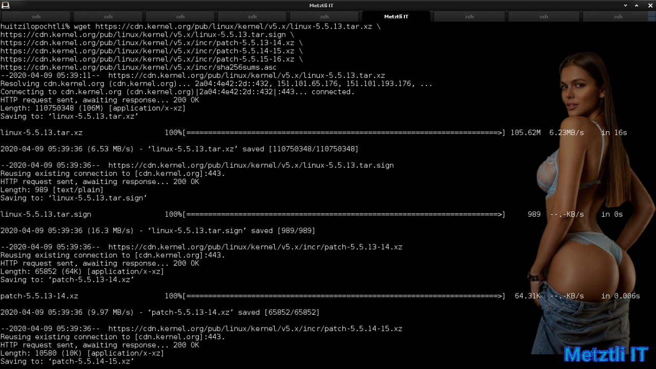 Exposing Hacks for ZSTD -compressed Metztli Reiser4 / Debian Buster bps Linux 5.5.caxtolli∙omome and initramfs