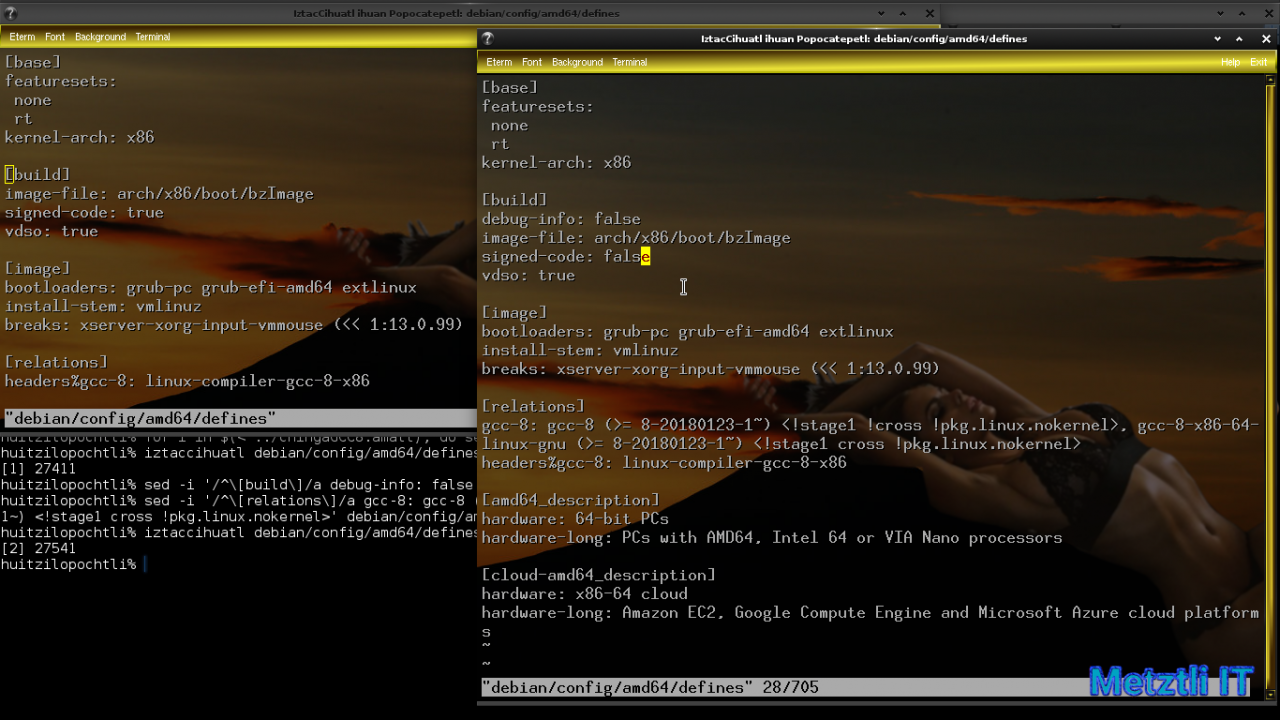 Exposing Hacks for ZSTD -compressed Metztli Reiser4 / Debian Buster bps Linux 5.5.caxtolli∙omome and initramfs