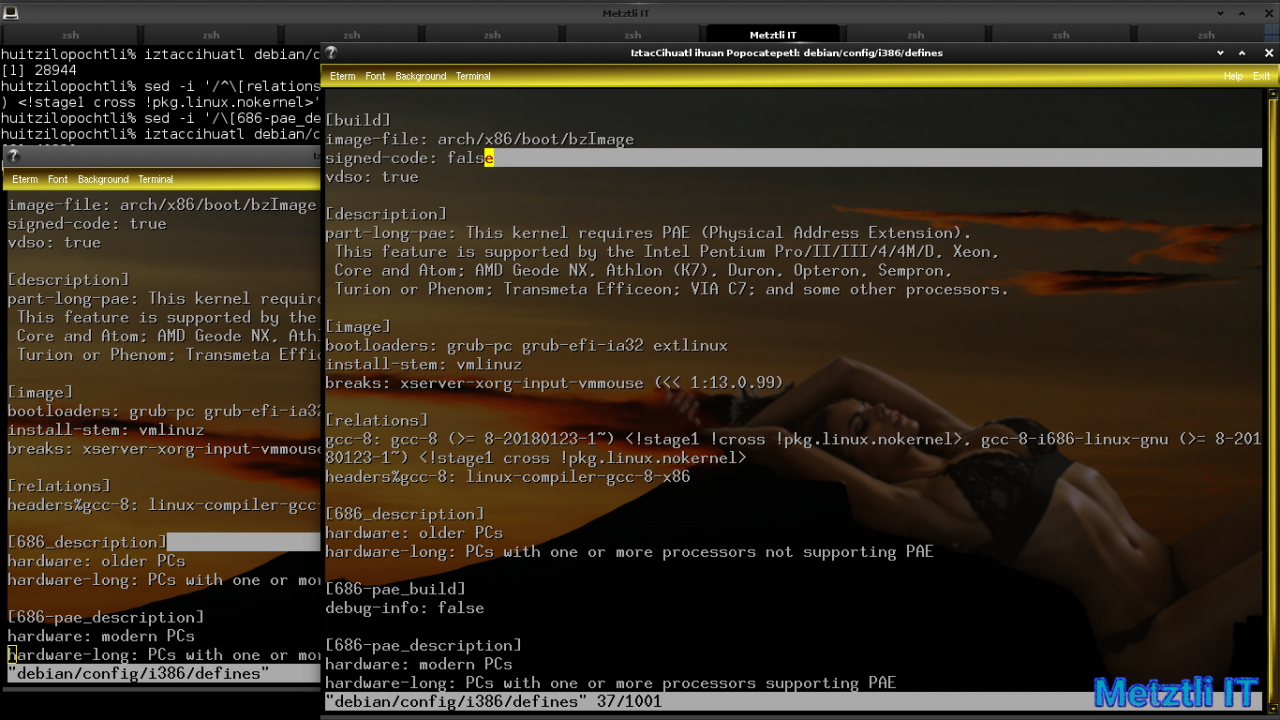 Exposing Hacks for ZSTD -compressed Metztli Reiser4 / Debian Buster bps Linux 5.5.caxtolli∙omome and initramfs