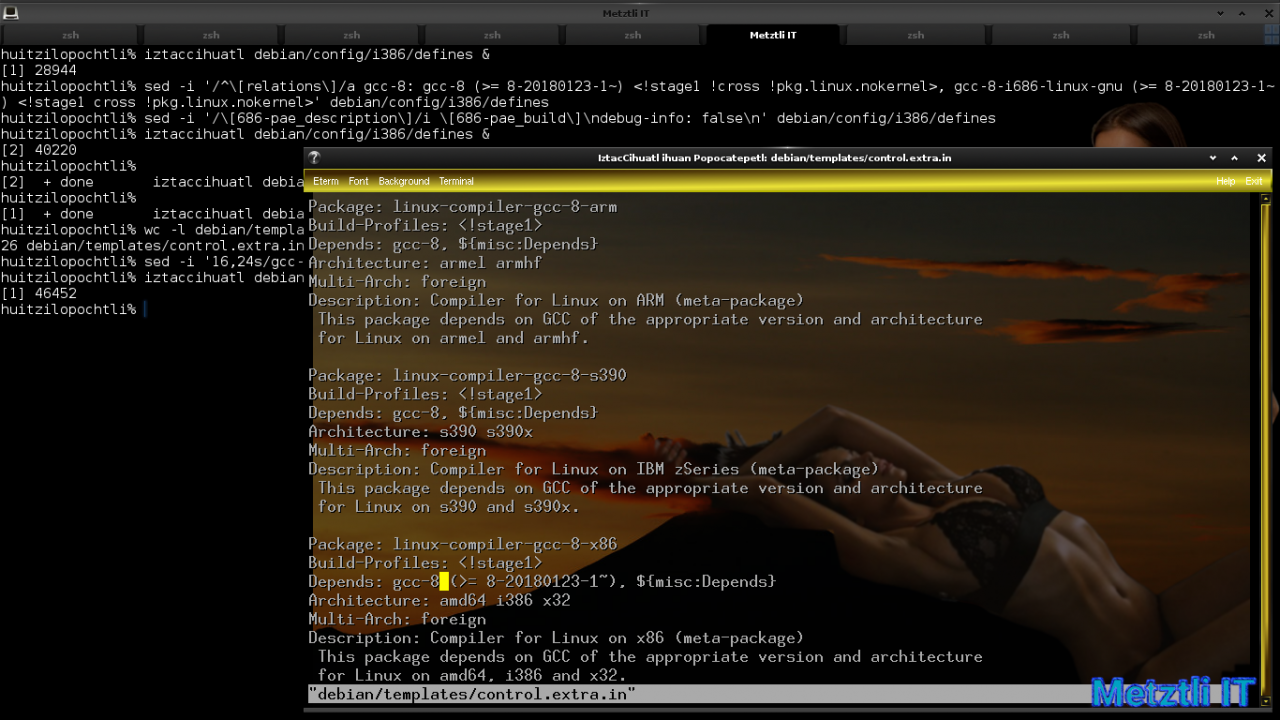 Exposing Hacks for ZSTD -compressed Metztli Reiser4 / Debian Buster bps Linux 5.5.caxtolli∙omome and initramfs