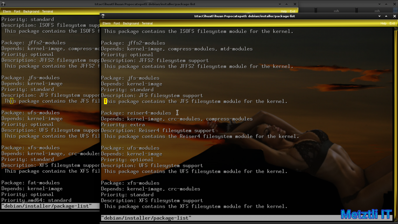 Exposing Hacks for ZSTD -compressed Metztli Reiser4 / Debian Buster bps Linux 5.5.caxtolli∙omome and initramfs