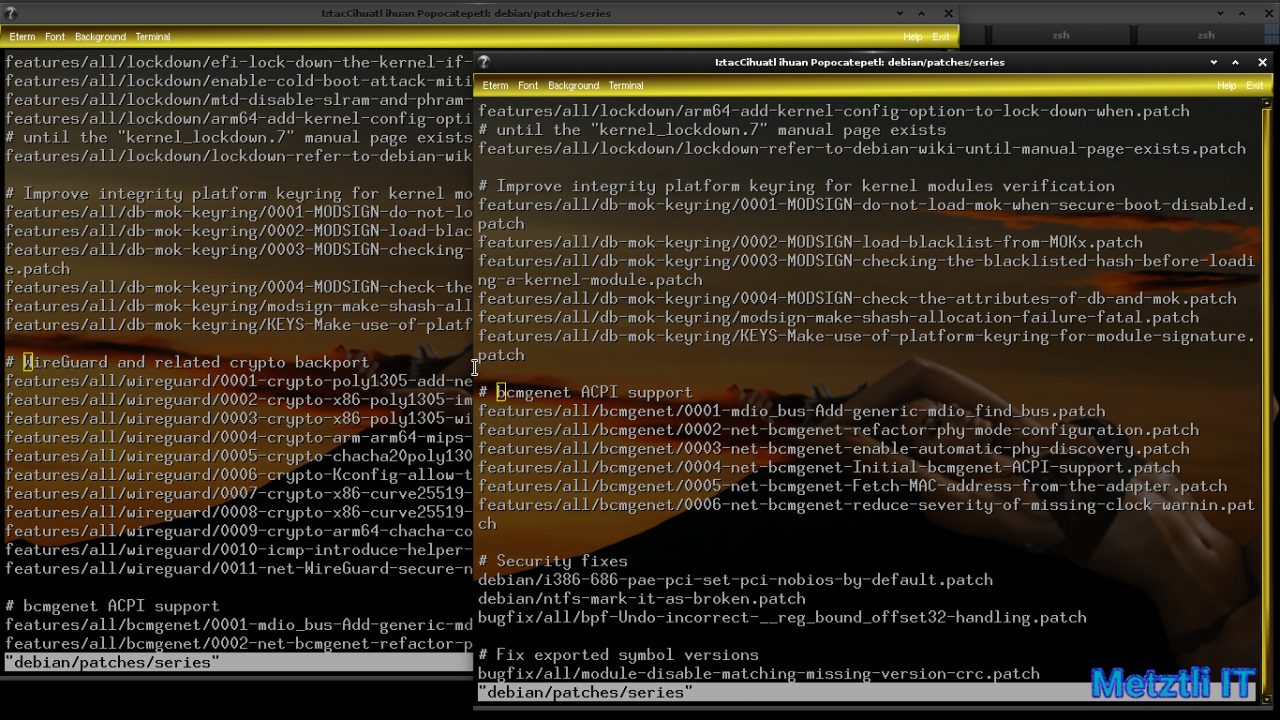 Exposing Hacks for ZSTD -compressed Metztli Reiser4 / Debian Buster bps Linux 5.5.caxtolli∙omome and initramfs