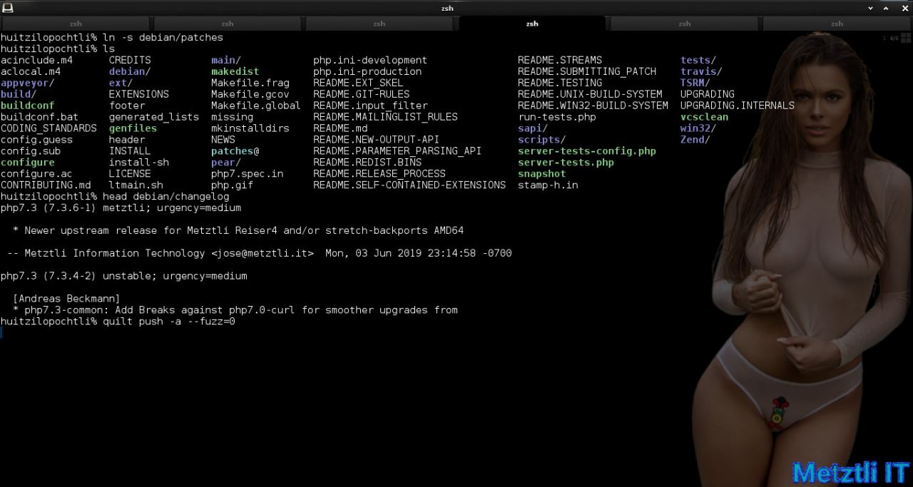 Build PHP 7.3.5̶   6 for Nginx 1.17.0 on Metztli Reiser4 'the Debian Way' for Stretch Backports on AMD64.