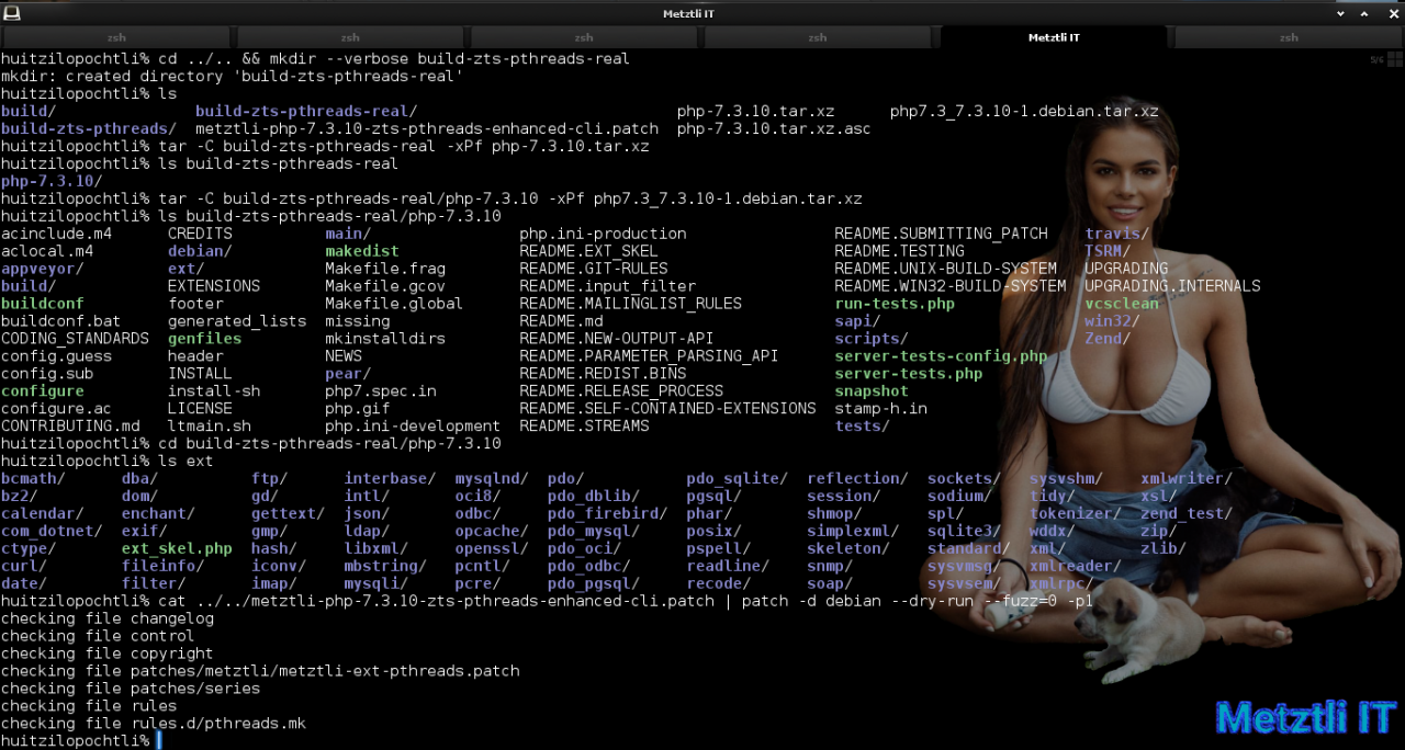 Build PHP 7.3.9̶ 10 ZTS and puppies...er, pthreads, on Metztli Reiser4: Как же мало нужно для счастья.