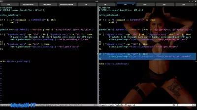 kernel 5.wx.yz tree/scripts/pahole-flags.sh