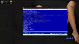 TEDIT displaying CONFIG.SYS
