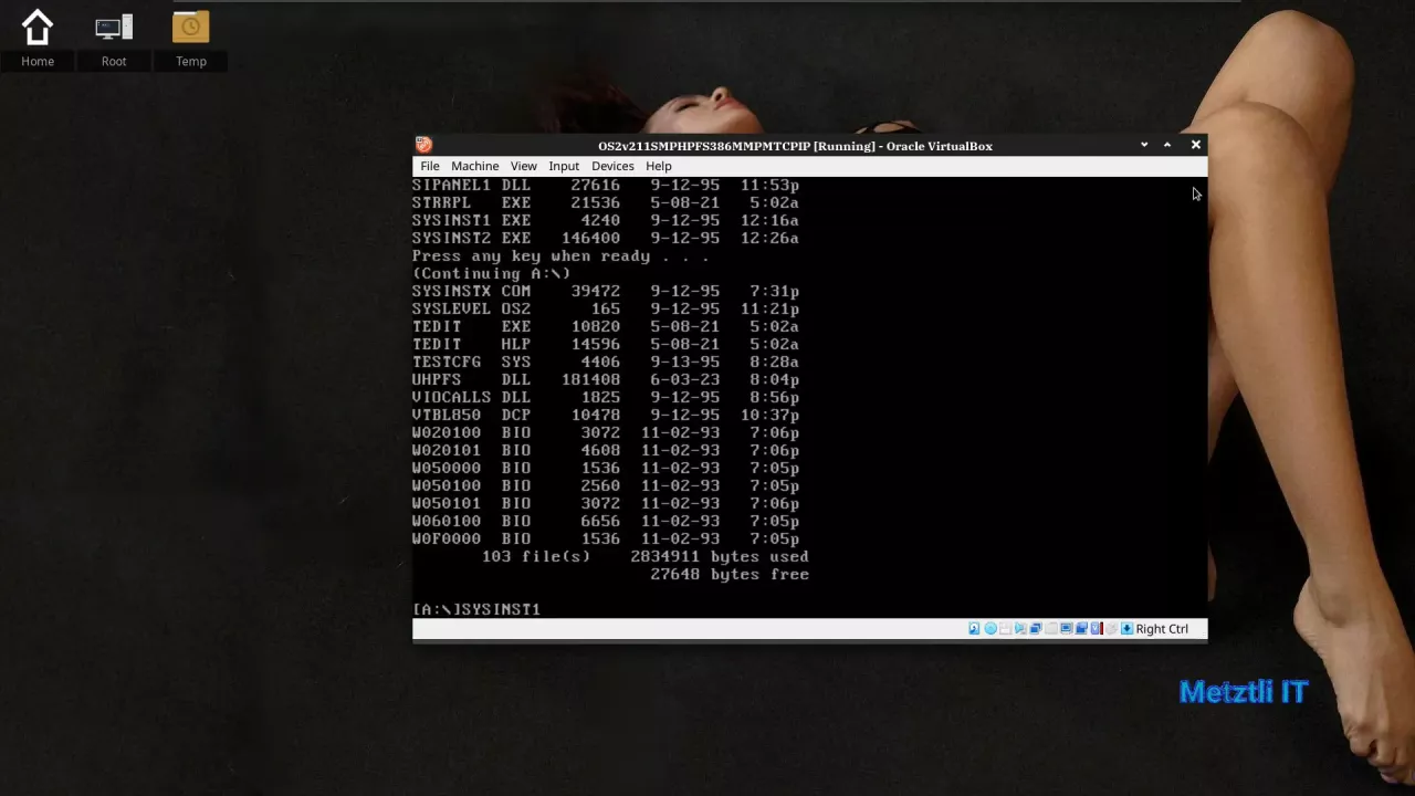 SYSINST1.EXE invokes Installer